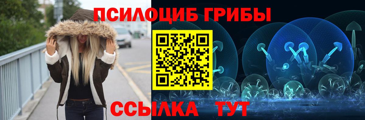 Галлюциногенные грибы Psilocybine cubensis  Псилоцибиновые грибы Cubensis  Вход с VPN  Костомукша 